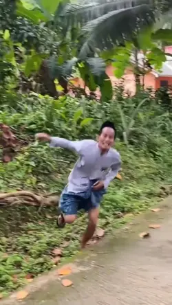 roll transition hook