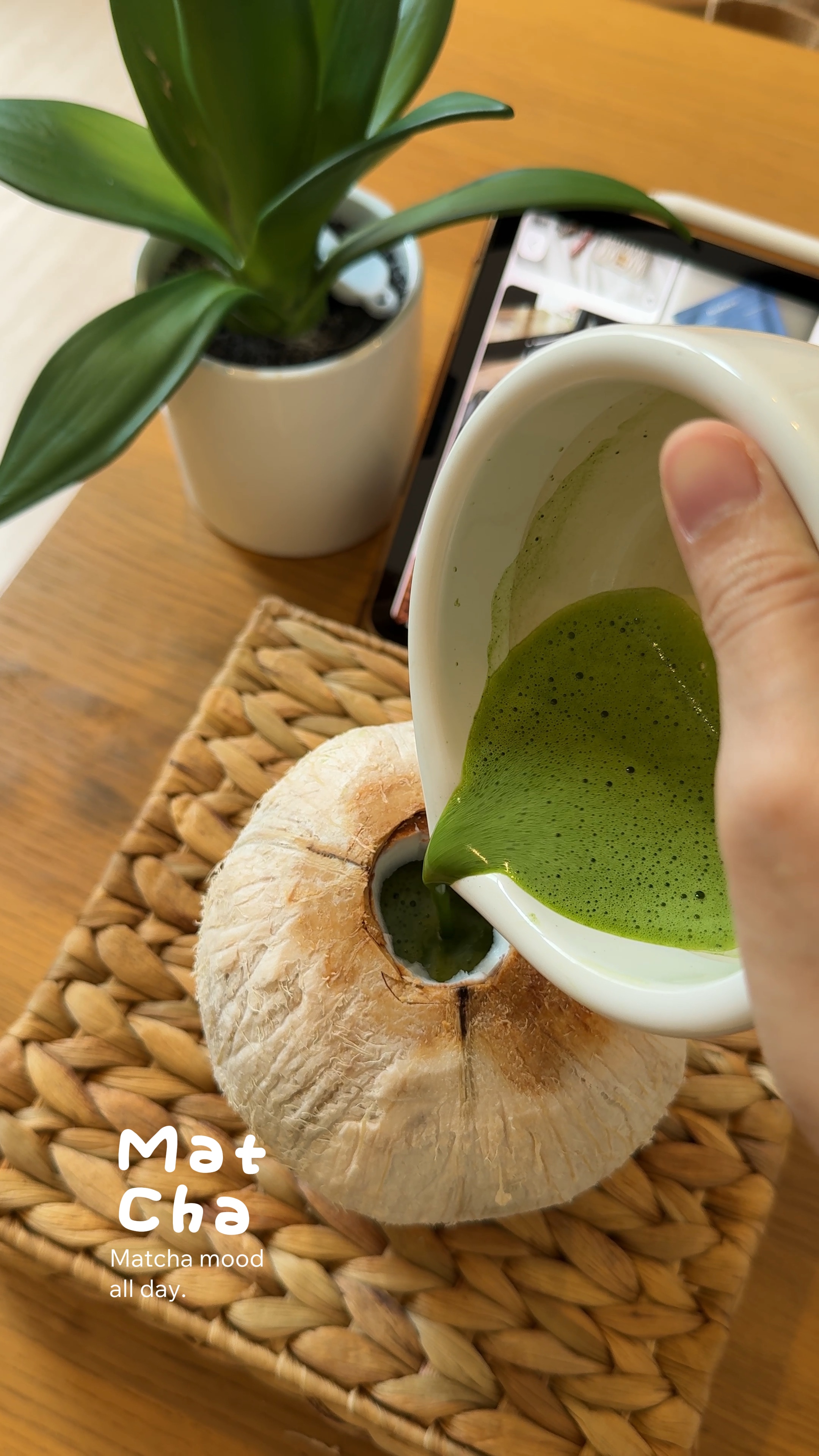 Matchaaa ~ ~🥥🍵