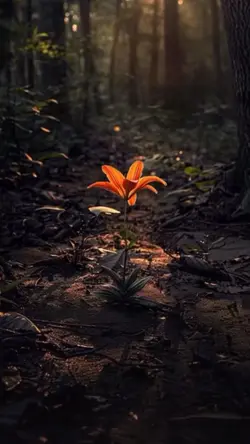 Simple 7 video clips