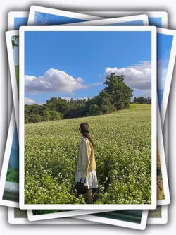 8Pic Aesthetic Frame