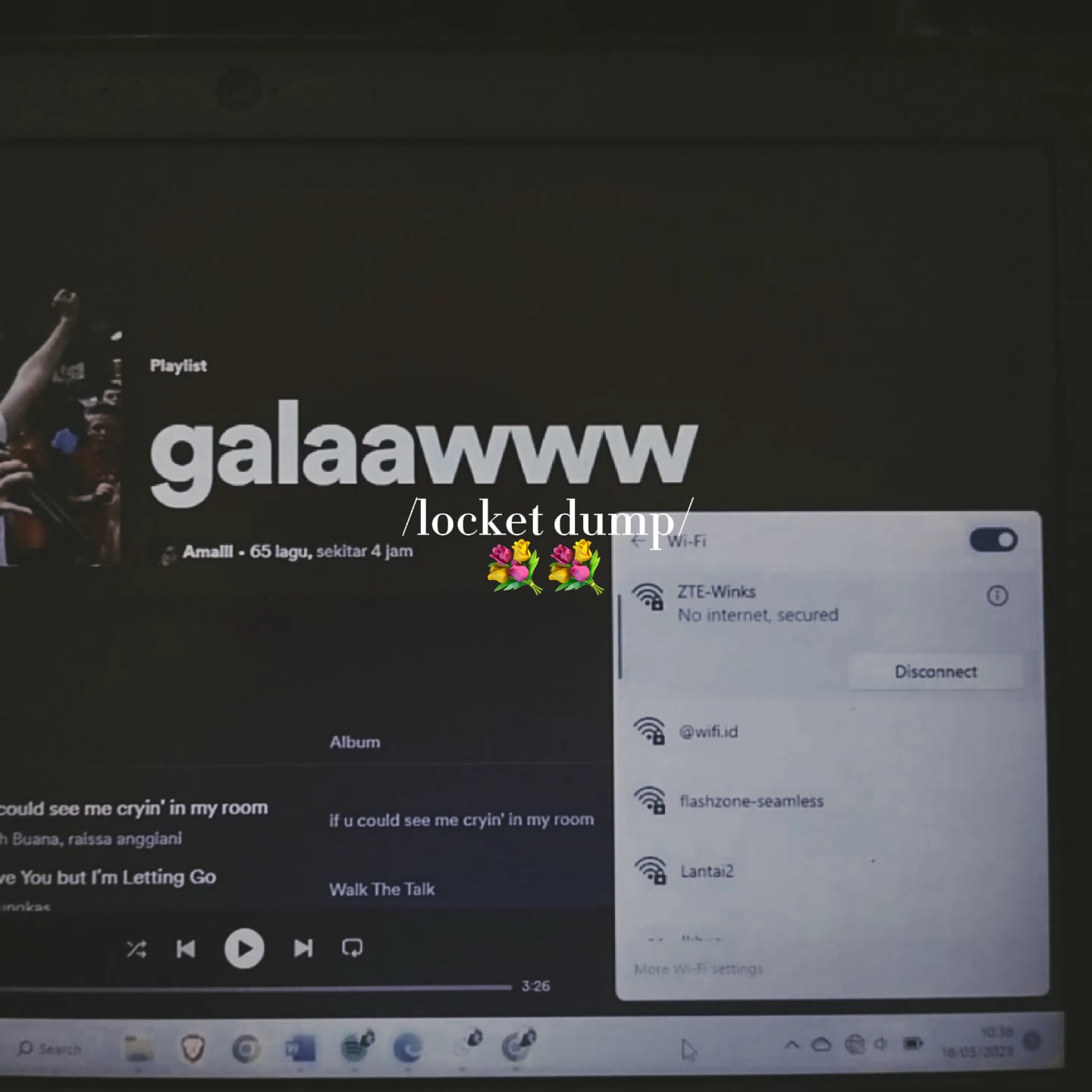 Cover Picture
