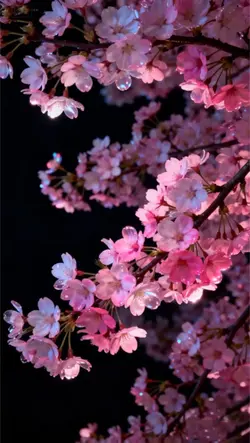 3D livewallpaper