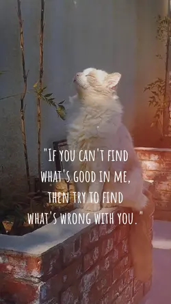 if you can't findโ