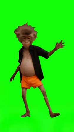Dancing Monkey Meme