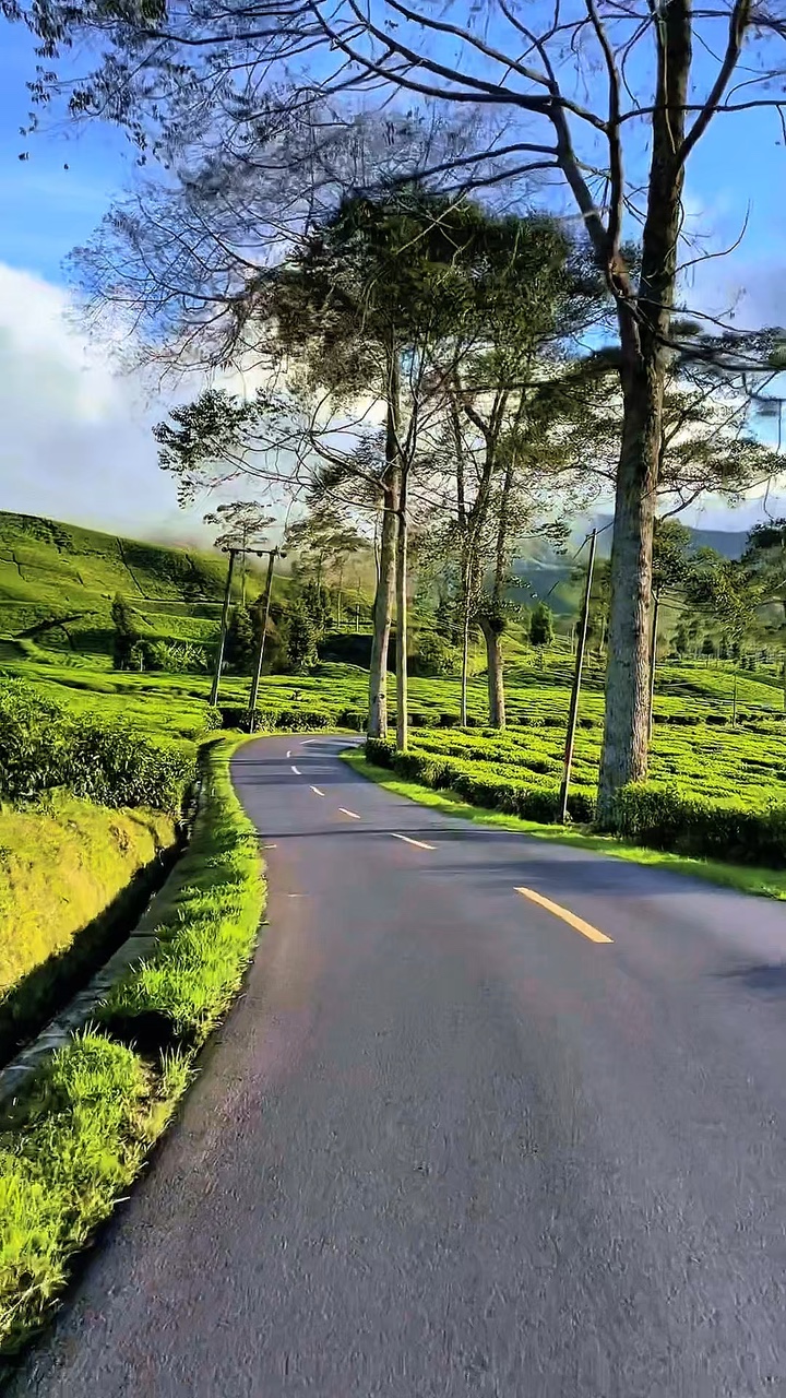 6 video road trip