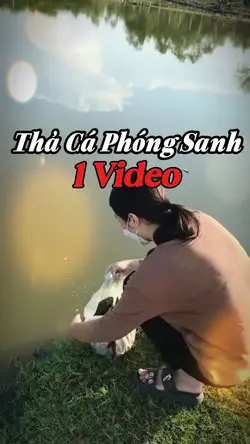 Thả Cá Phóng Sanh