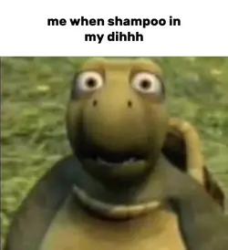 wtf moment