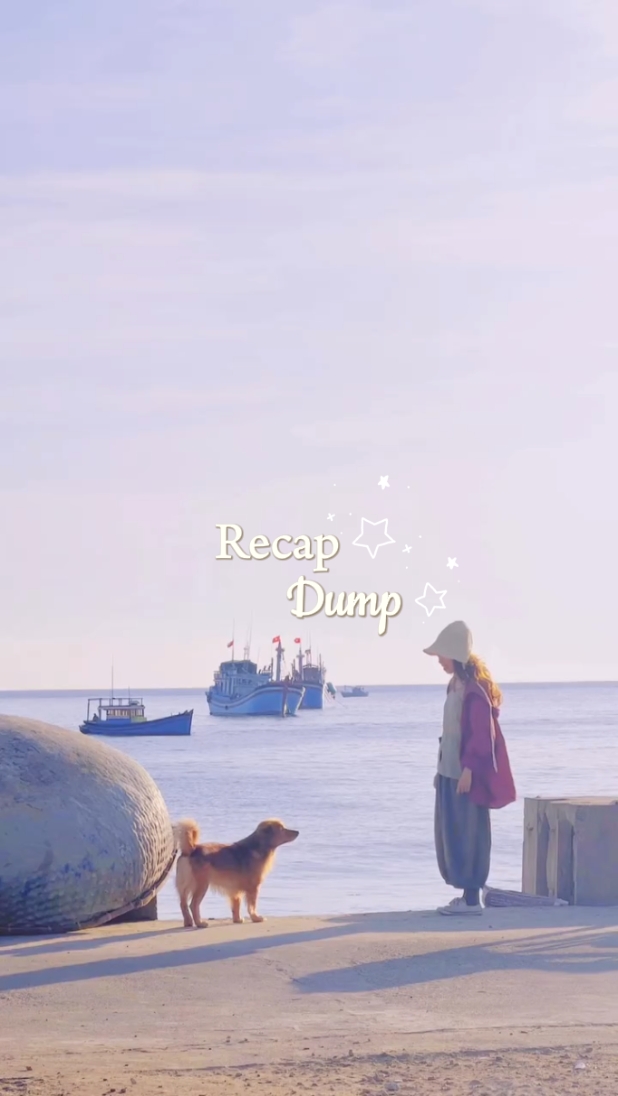 recap dump