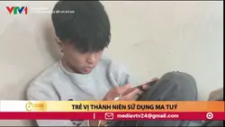 Mẫu troll bạn bè 