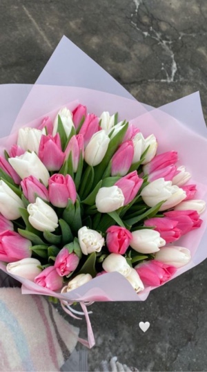 🗣️stalkst du ihn?