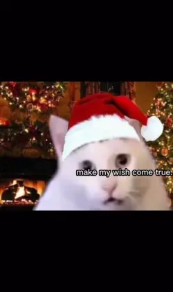 CHRISTMAS IS COMING