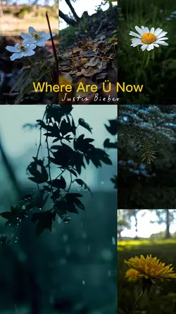 Where Are U Now