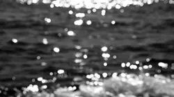 Ripples In Time 