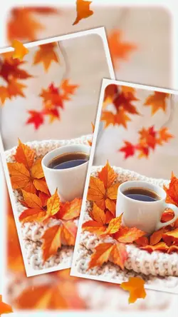 Aesthetic in 4 clips