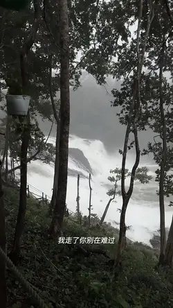 គឺសេចក្តីស្រឡាញ់