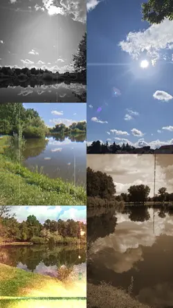 collage nature
