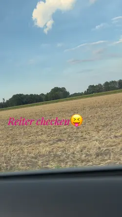 Reiter checken