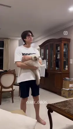 追星模板｜8片段｜水印可改