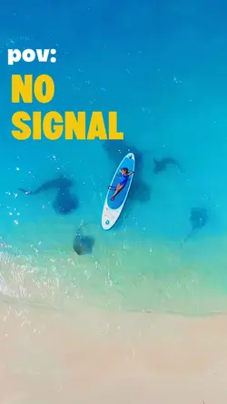 pov: no signal