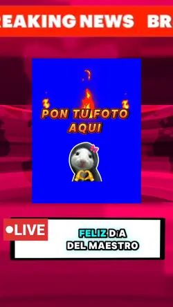 Día del maestro 