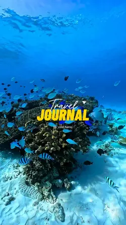 Travel journal