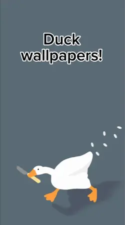 Duck wallpaper