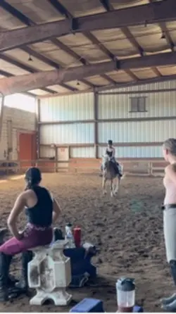 Trainers new pony!!!