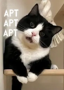 cute cat singing APT