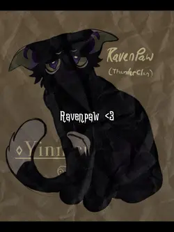 Ravenpaw :3