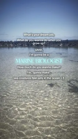 🐠🪼