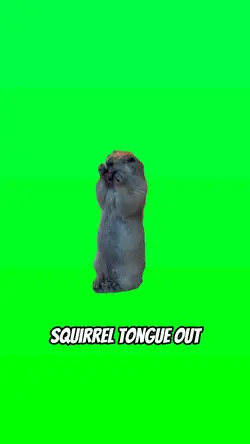 Squirrel Tongue Out