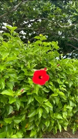 沖縄trip🌴🌺✈