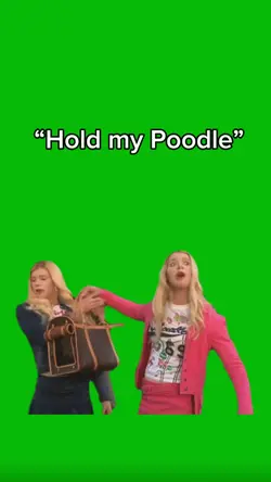 Hold My Poodle