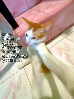 foto live kata kata