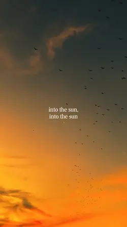 into the sun