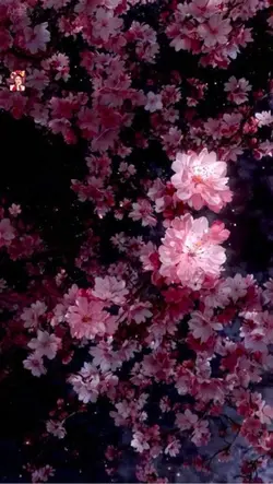 3D Wallpaper