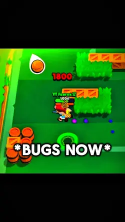 Bugs now or then😮‍💨
