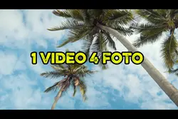 1 video 4 foto