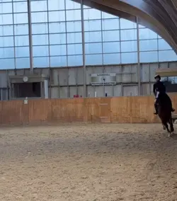 Fearless TaylorSwift