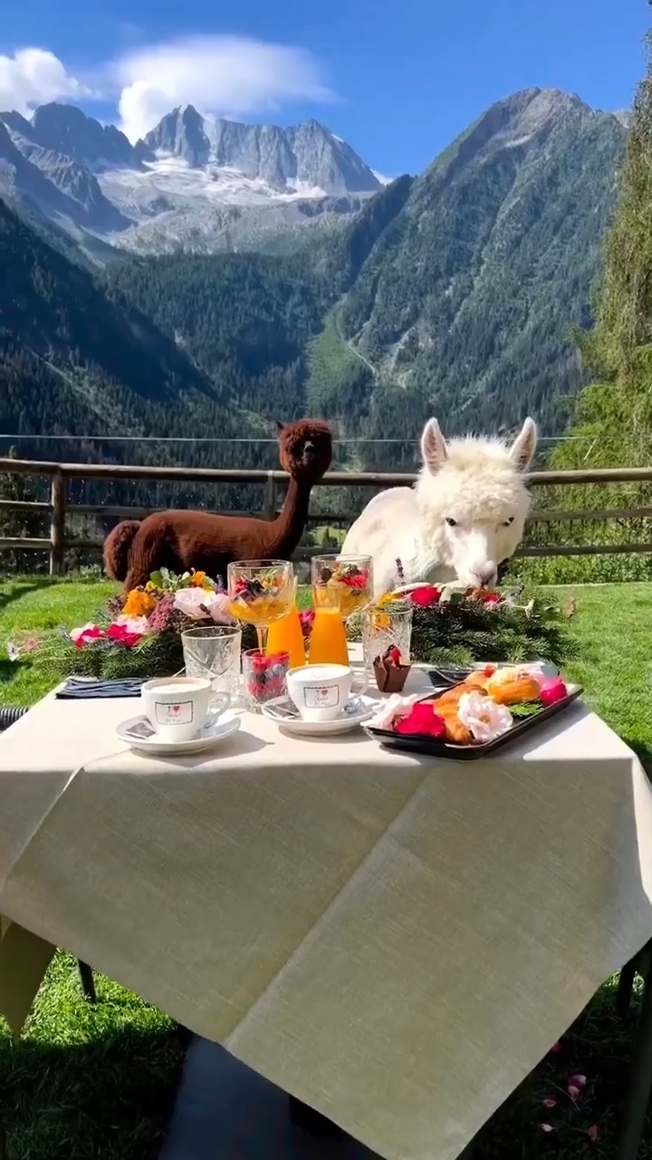 Felices vacaciones