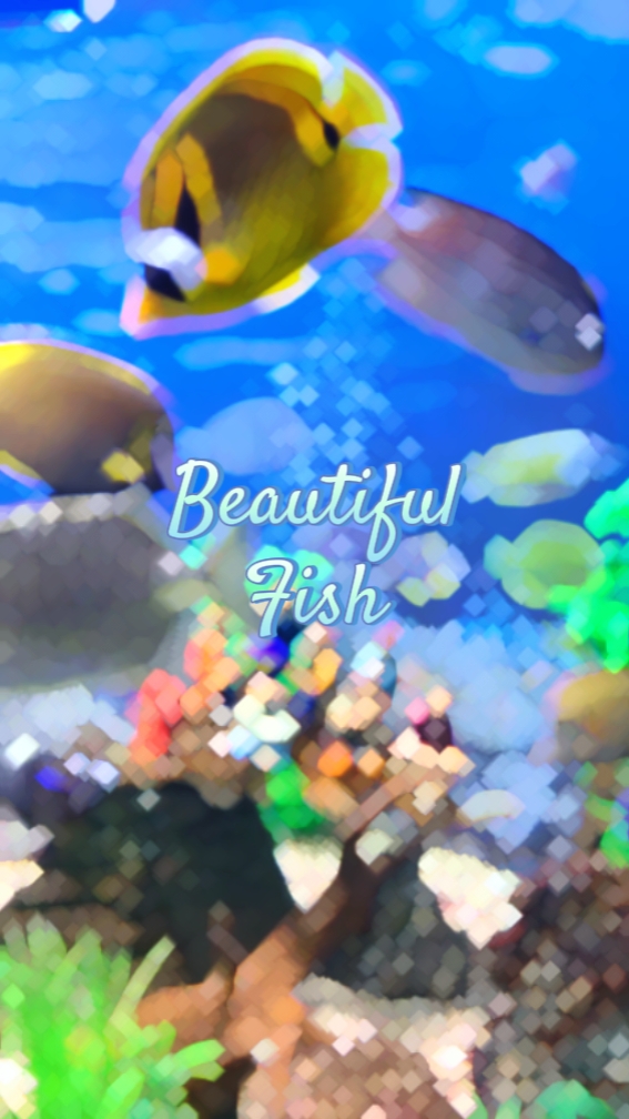 Vlog Fish