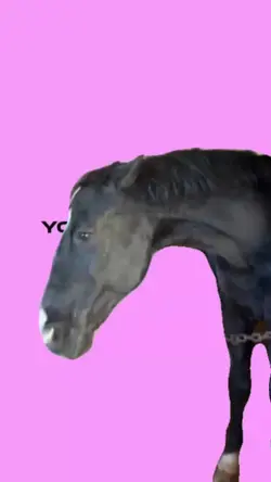 tiktok viral 