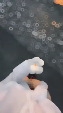 Slow + Motion ❤️🦋