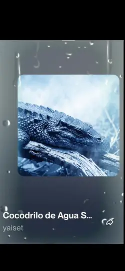 COCODRILO DE AGUA SA