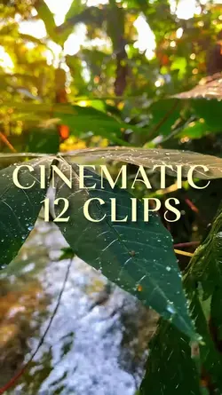 12 CLIPS CINEMATIC