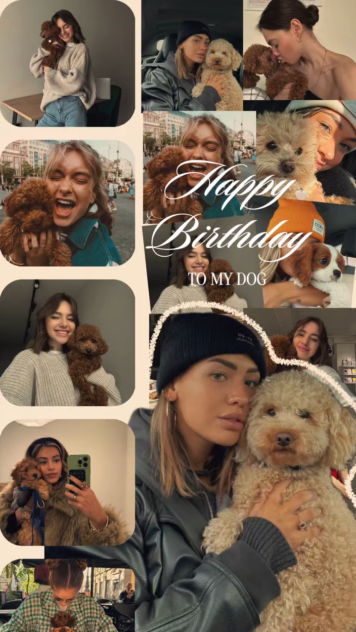 Birthday my dog