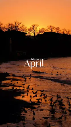 April dump