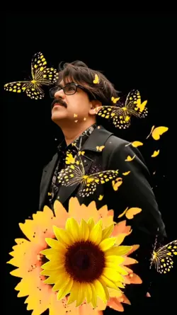 Butterfly Sunflower