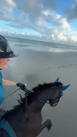 Gallopinggg