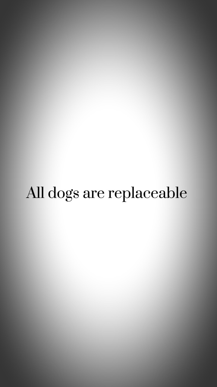 Dog template ❤️‍🩹❤️‍🩹